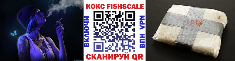 Cocaine FishScale  Купить закладки  Вязьма 