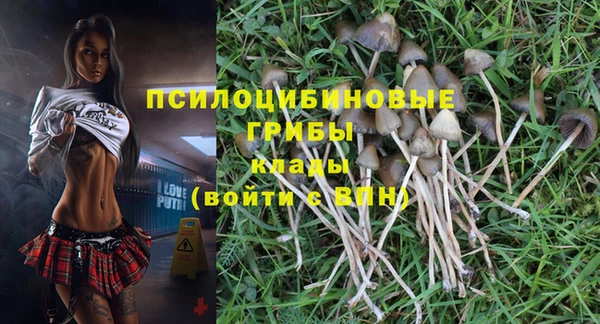 бутират Белокуриха