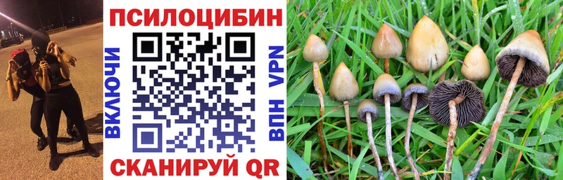 Галлюциногенные грибы MAGIC MUSHROOMS  Купить  Вязьма 
